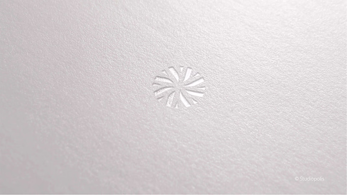 Adair - Flying club brand design