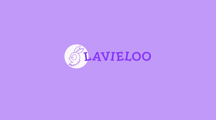 Website Design Case Study: Lavieloo