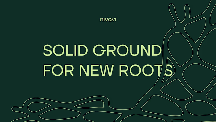 Nivavi Brand Identity Design