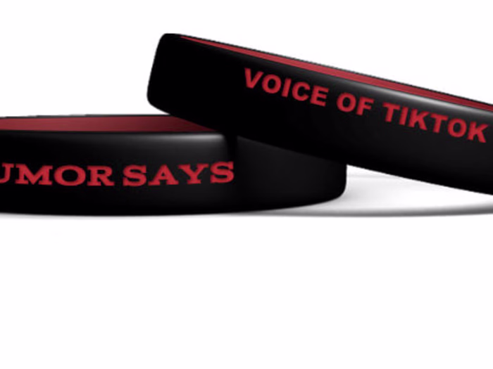 Voice of TikTok