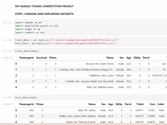 MY-PROJECTS/kaggle titanic competition.html at main · Ngila-j/M…