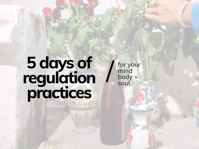 Nervous System Reset Curriculum