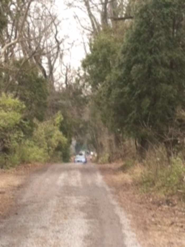 A Family Trip to the Christmas Tree Farm - Bucks Happening