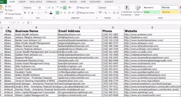 Targeted Lead Generation & Comprehensive Data Compilation
