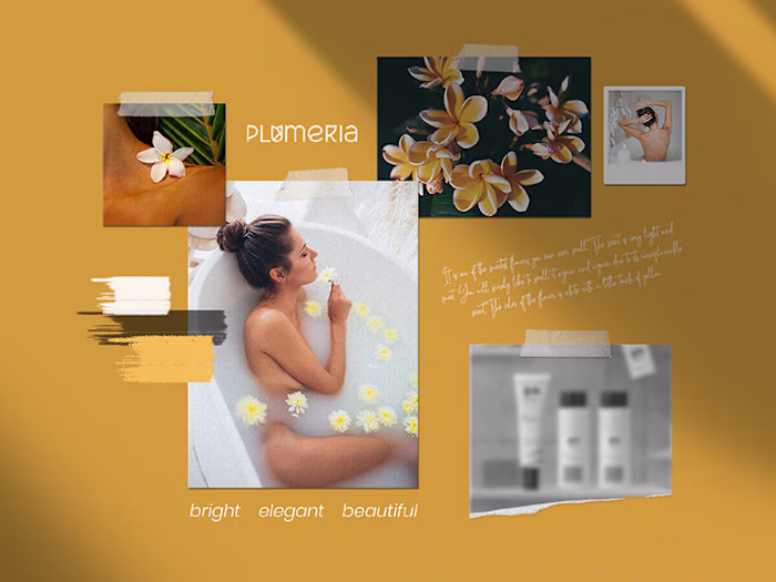 Plumeria | Logo Design