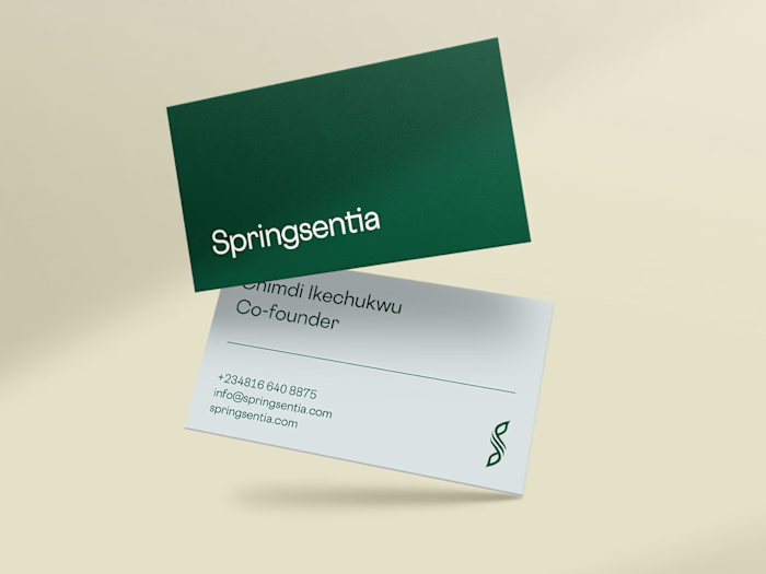 Springsentia: Brand Identity Design