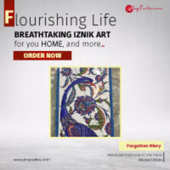 Shop turkey full set Google ads banner & logo design