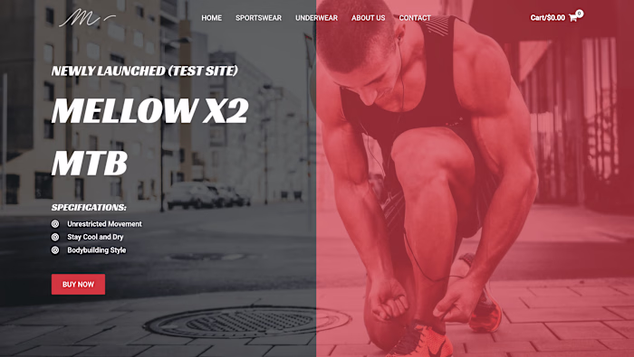 Sportswear web store(wordpress & woocommerce)
