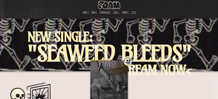 SEO Campaign: Organic Growth & Google Search Visibility