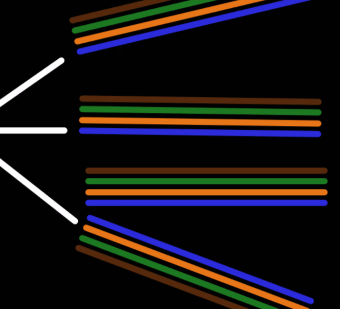 Illustrating and Animating a Network