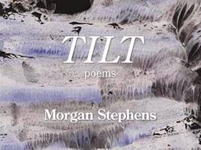 Developmental Editing for Poetry Collection