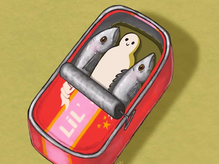 Animated Illustrations ✨