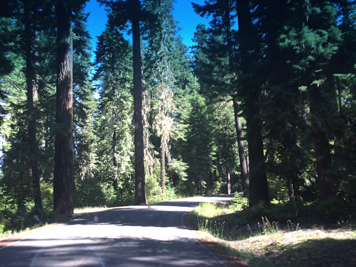 Human Experience Blog Example