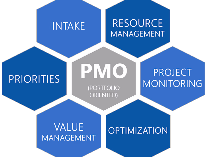 Implementation of Program Management Office and OPM3 for a Telec