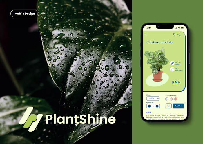 PlantShine