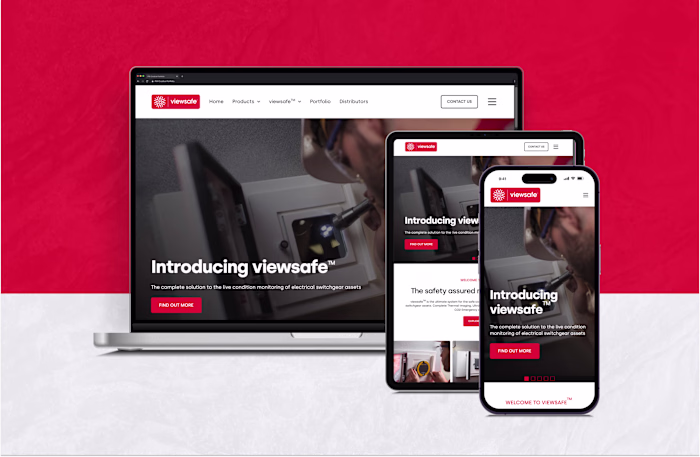 ViewSafe – Website Design & Development