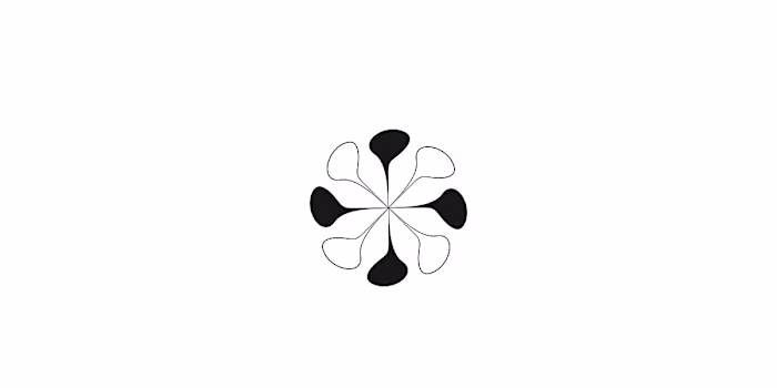 Vichitra Suits - Branding out for what goes on top