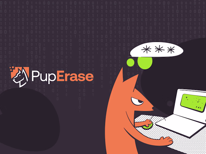 Consumer Privacy Protection Platform
Product Design