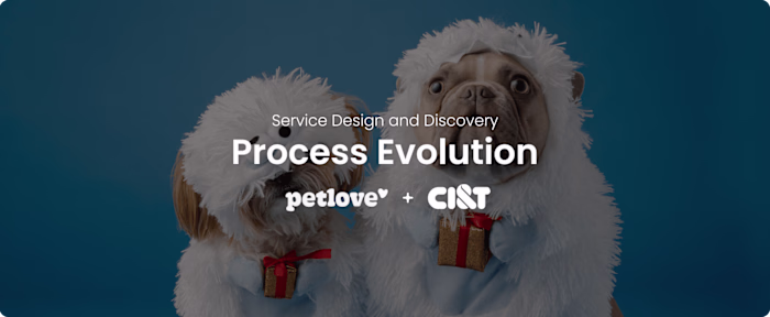 Petlove - Process Evolution