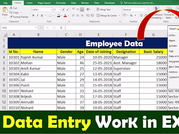 Data Entry With Excel