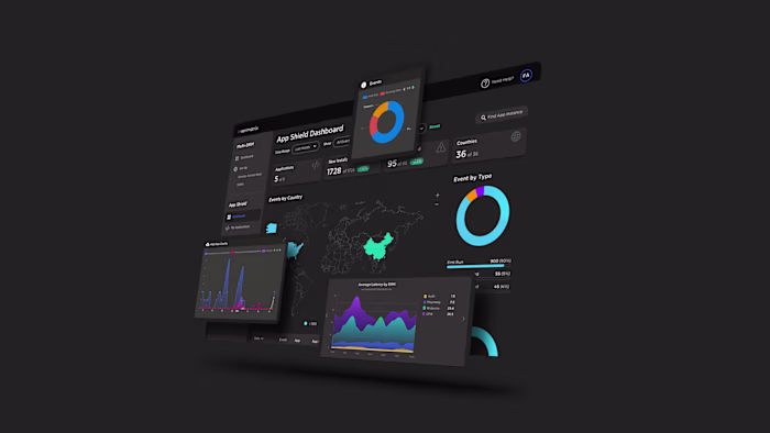 Verimatrix SASS Design