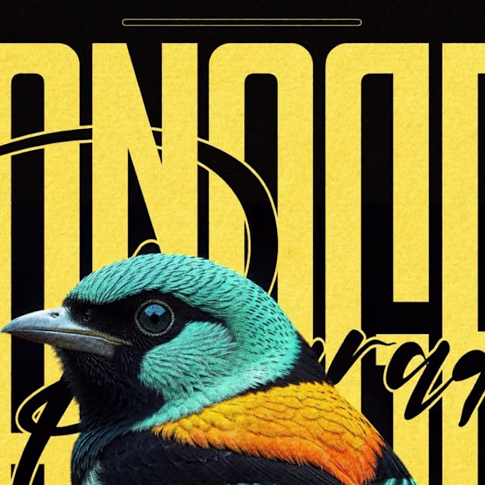 RADRESIGN • Design & Typography on Instagram: “Paradise Tanager…