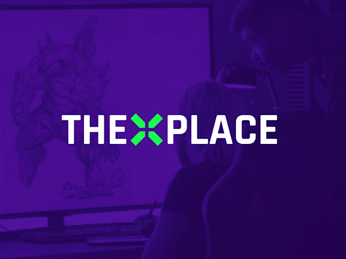 Sr. Product Owner at TheXPlace