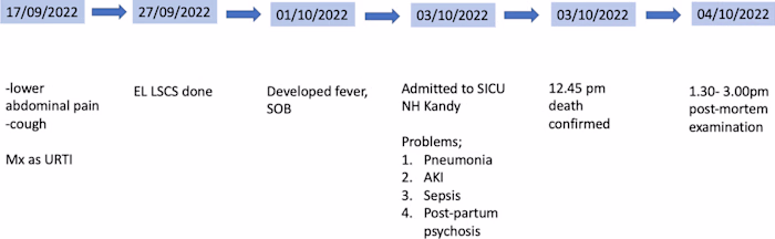 Acute hemorrhagic pancreatitis following influenza infection: a…