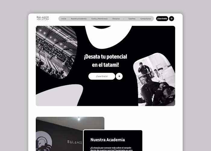 Balance Academy Website 