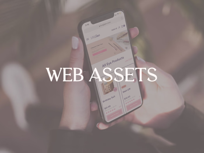 Web Assets | GraphicsWithAlex