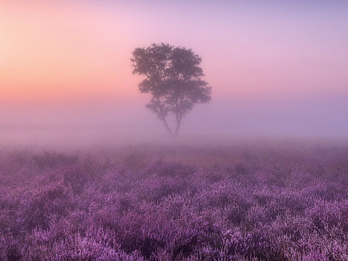 A particularly surreal and mysterious short story