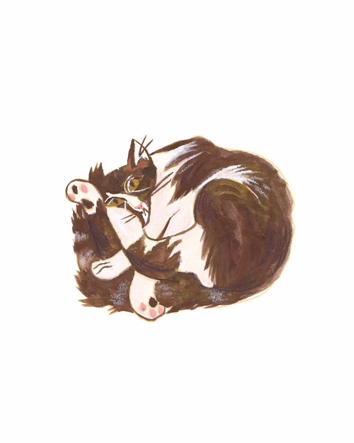 Postcard Cat illustration