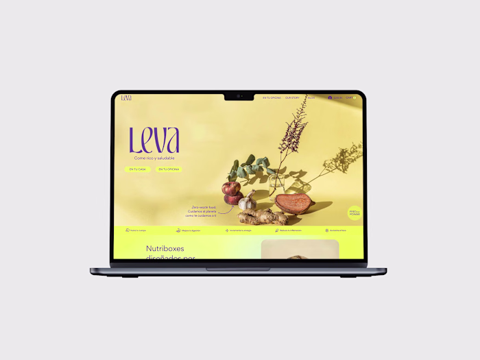 LEVA Website – Custom-Made, Vibrant, and Engaging
