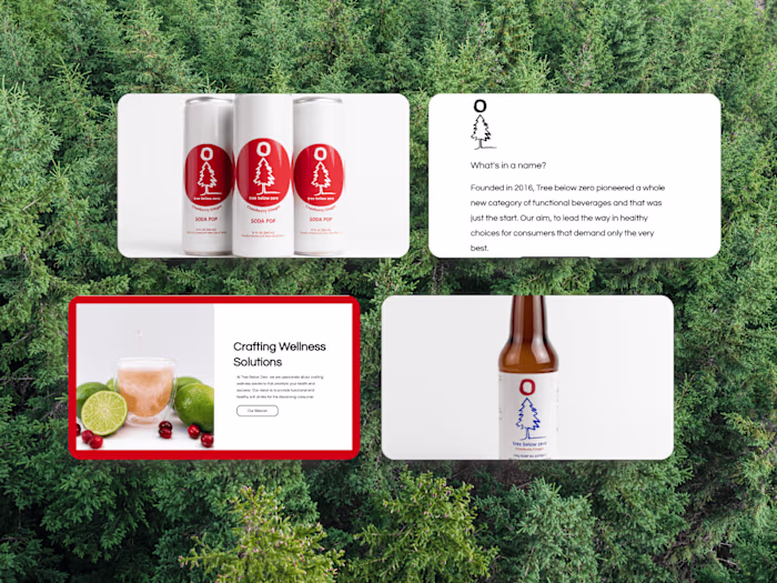 Website Design & Development