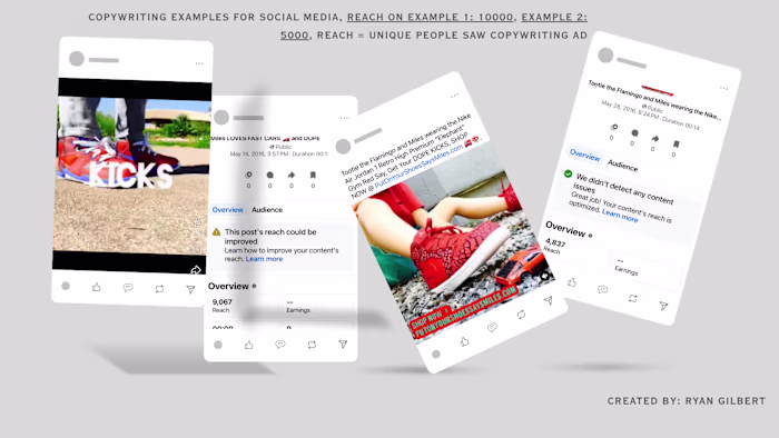 Blogger and Social Media Writer