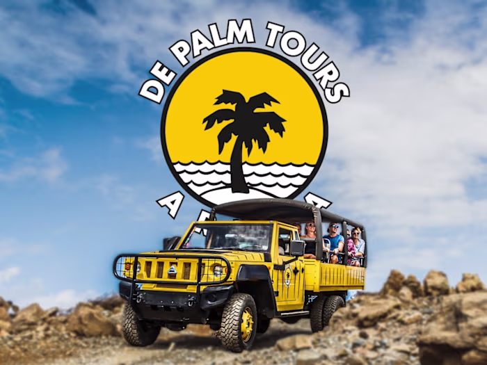De Palm Tours Visual Identity
