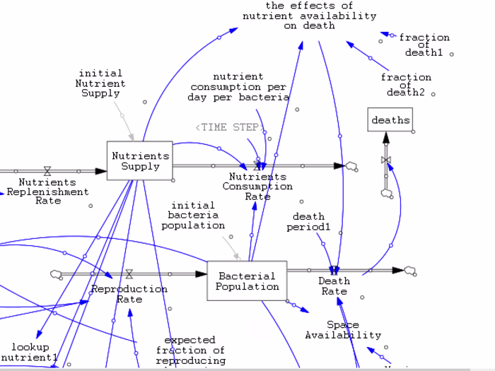 Computation Biological Modeling|Vensim|Anylogic|Stella Architect