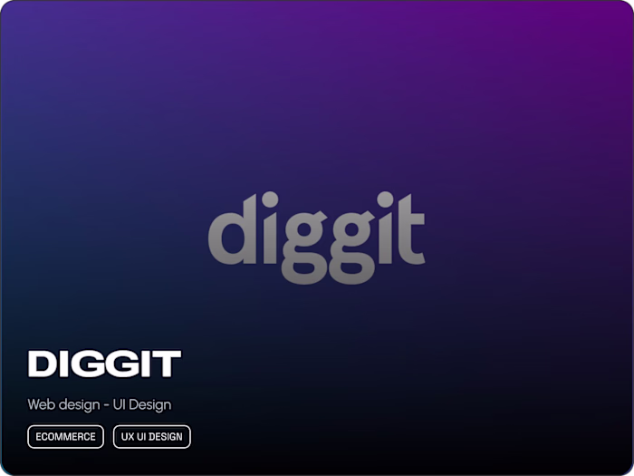 Diggit (e-commerce)