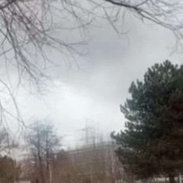 @parvenu.official on Instagram: “Palette 🥶.”