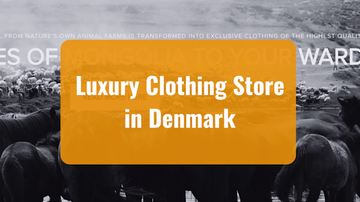 Google Ads - Luxury Clothing Store in Denmark Ads Management