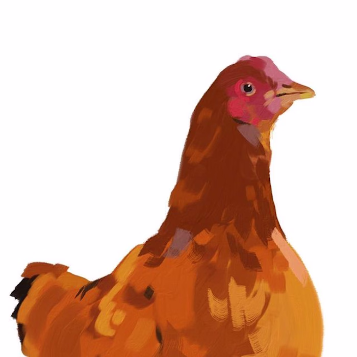 Digital Chicken Painting