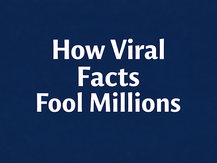 How Online Misinformation Works