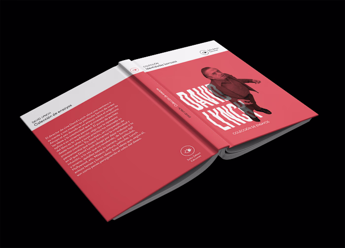 Colección de libros - IDENTIDADES OCULTAS