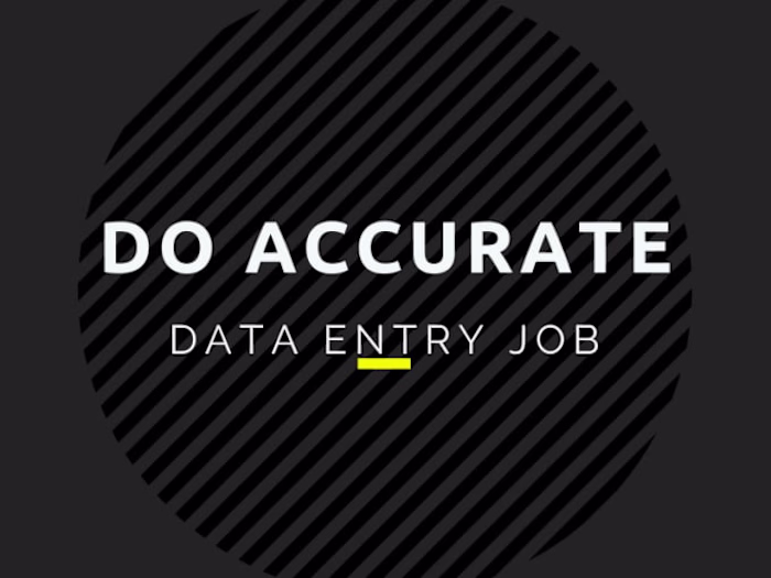 I will do accurate data entry jobs with Excel and word