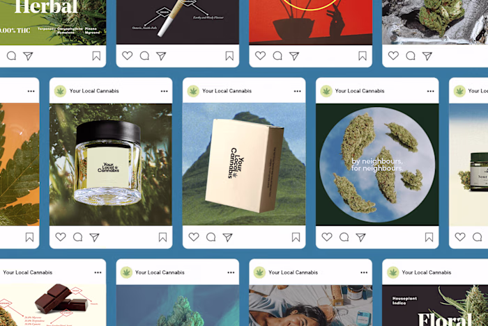 YLC – Social Media Management