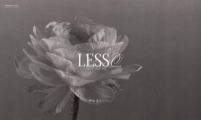 Lesso 🩰 Branding Identity + Web Design 