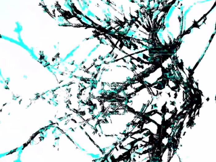 Experience the Emotional Patterns of 'Where Anything is Possibl…