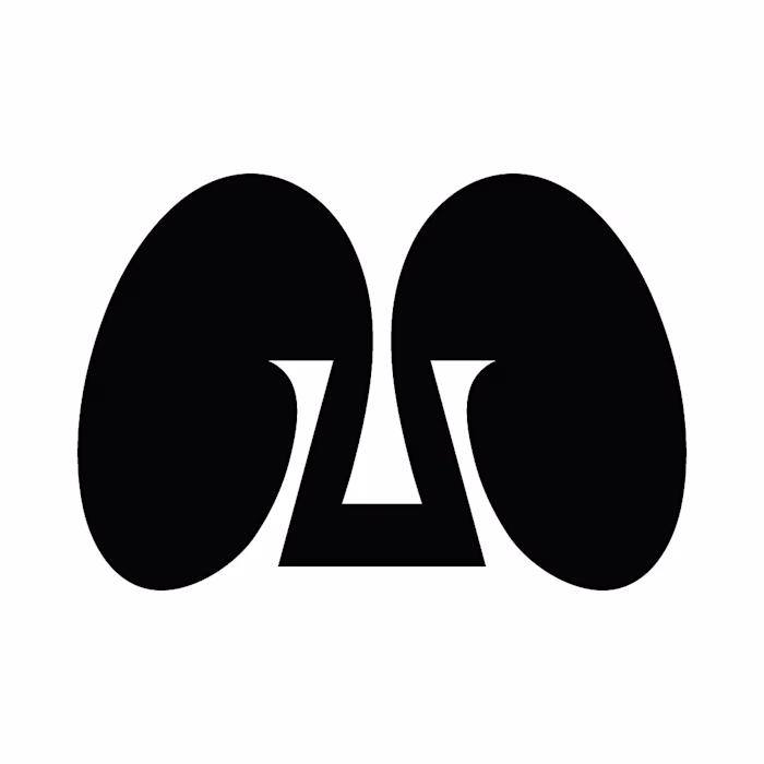 36 days of type - Collections (2021-2024)