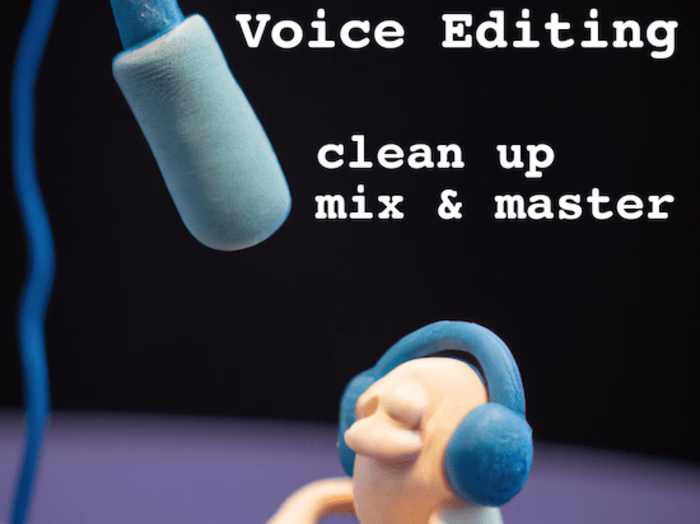 Voice Editing & Enhancement
