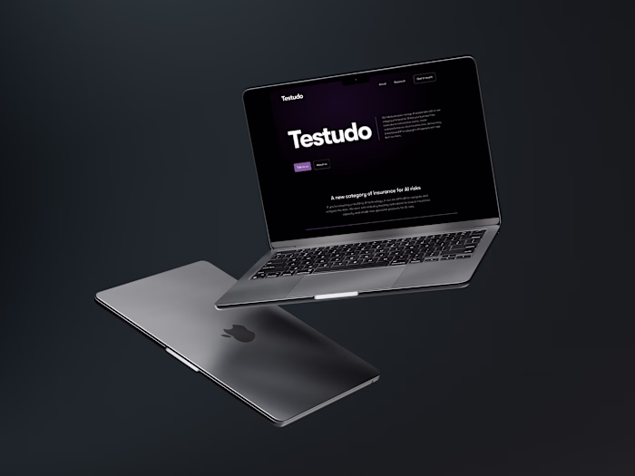 Testudo: Helping businesses manage AI related insurance risks